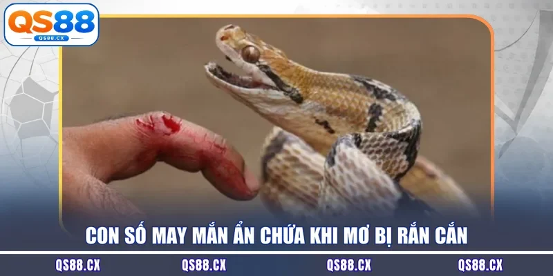 Con số may mắn ẩn chứa khi mơ bị rắn cắn