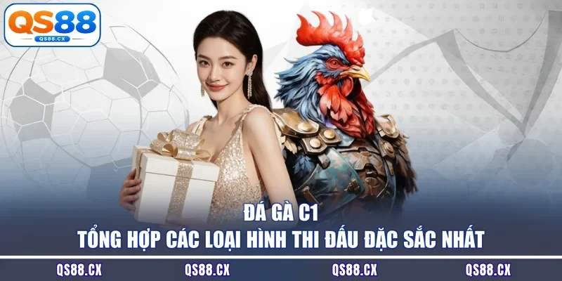 Đá Gà C1 - Tổng Hợp Các Loại Hình Thi Đấu Đặc Sắc Nhất