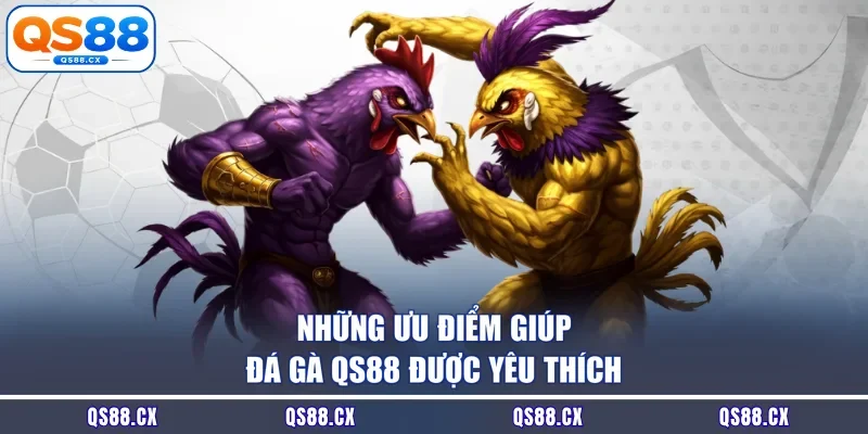 Những ưu điểm giúp đá gà QS88 được yêu thích